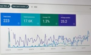 Business analytics charts on a computer screen